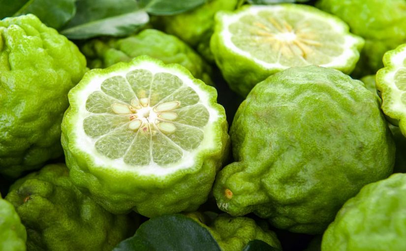 Bergamot Bar Soap
