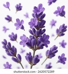 Lavender Bar Soap